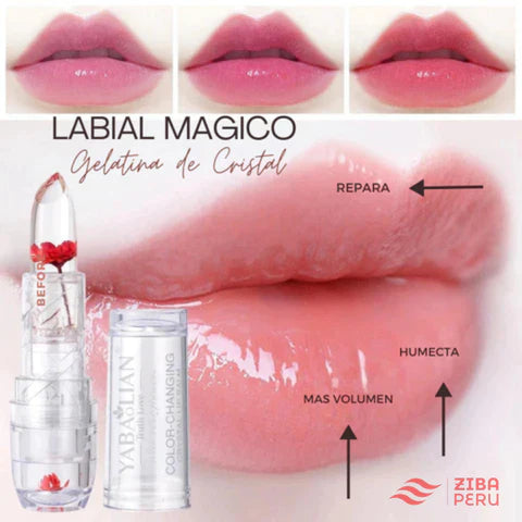 Image of LABIAL MÁGICO KOREAN™ | KIT 2x1 UND