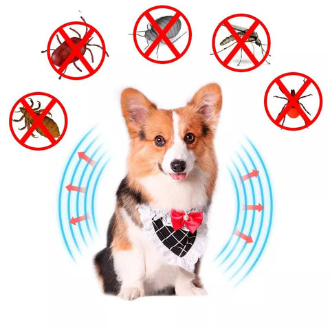 Image of CEPILLO ELECTRONICO ANTIPIOJO PARA MASCOTAS.