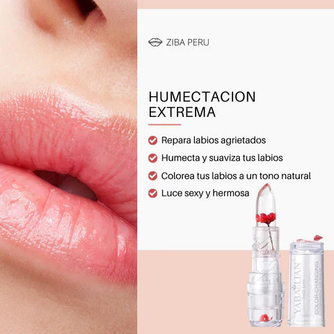 Image of LABIAL MÁGICO KOREAN™ | KIT 2x1 UND